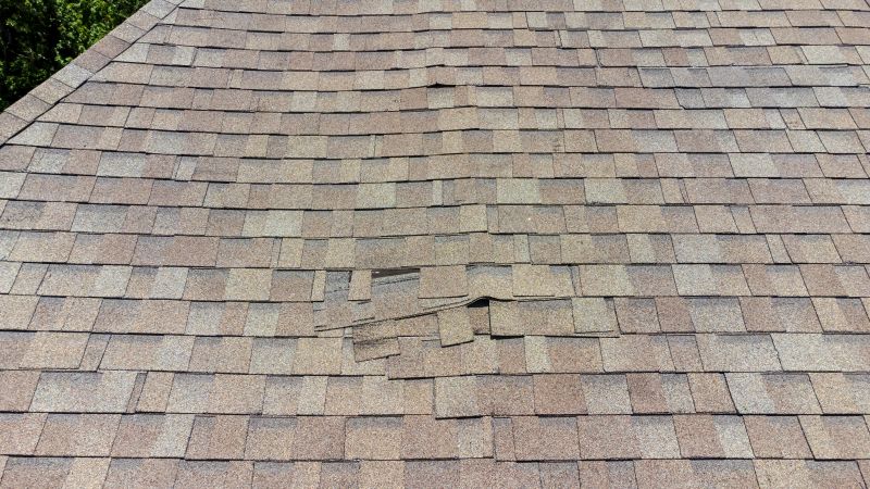Asphalt Roof Inspection in Dinwiddie County, VA