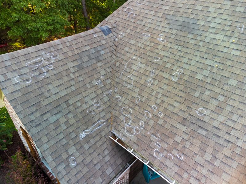 Asphalt Roof Inspection in Stony Creek, VA