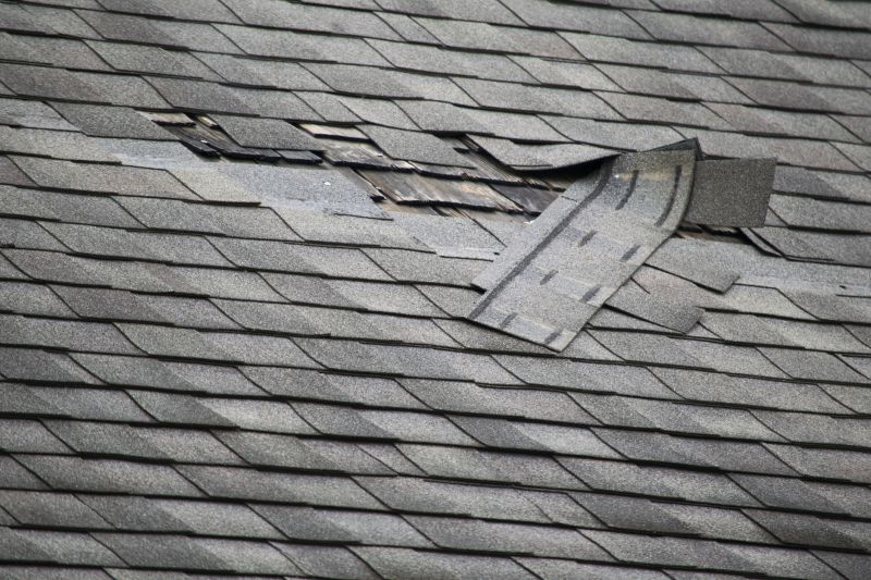Asphalt Roof Leak Repair in Prince George County, VA