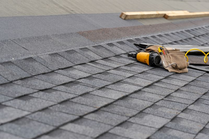 Asphalt Roof Repair in Charles City, VA