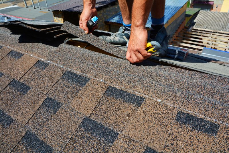 Asphalt Roof Repair in Stony Creek, VA