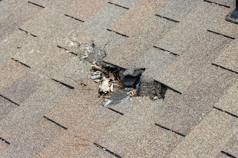 Asphalt Roof Replacement in Charles City County, VA