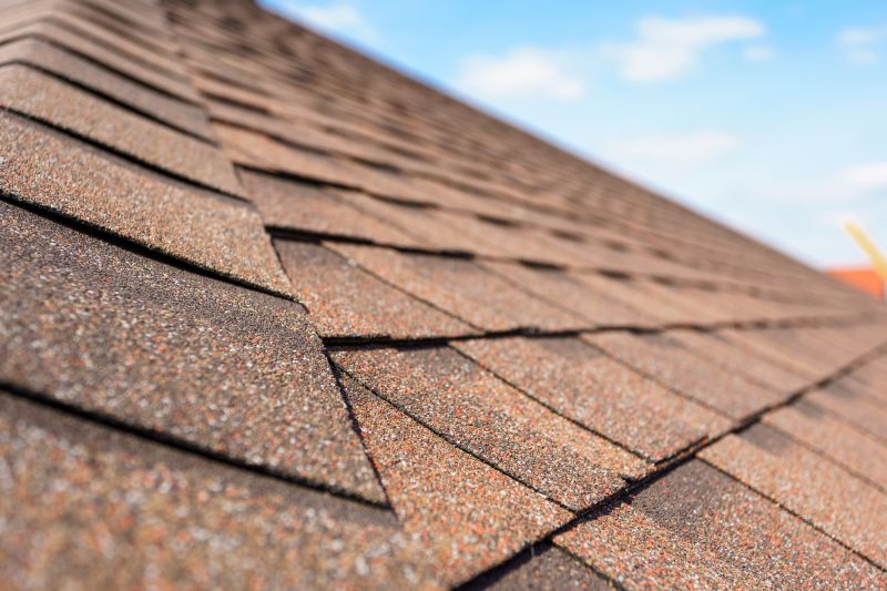 Asphalt Roofing Service in Prince George County, VA