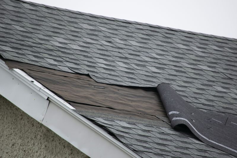 Asphalt Shingles Repair in Charles City County, VA