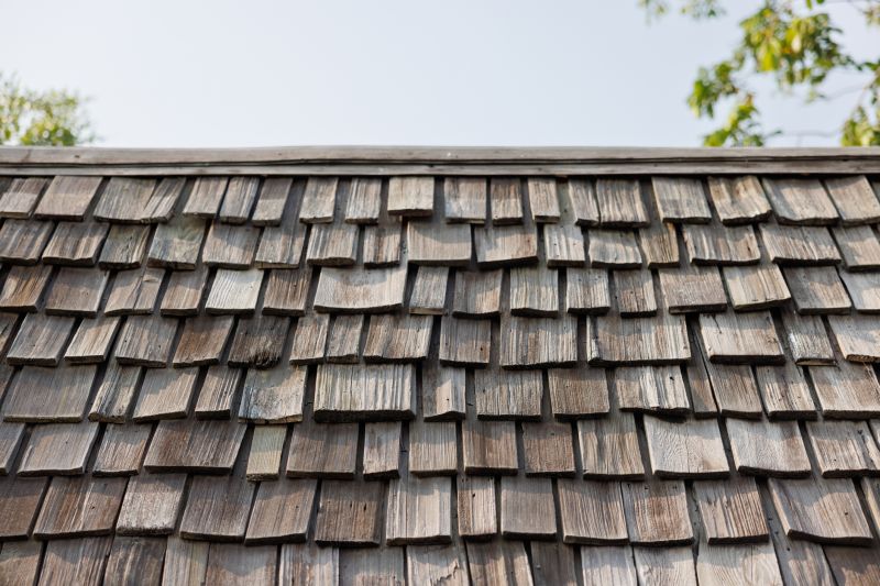 Cedar Shake Roof Repair in Dinwiddie County, VA