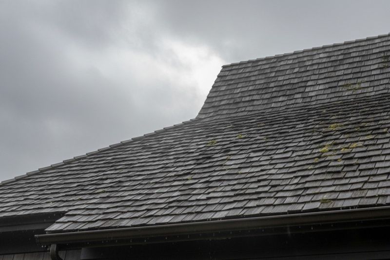 Cedar Shake Roof Replacement in Prince George County, VA