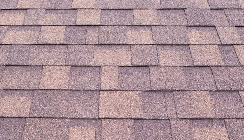 Composite Shingle Repair in Prince George County, VA