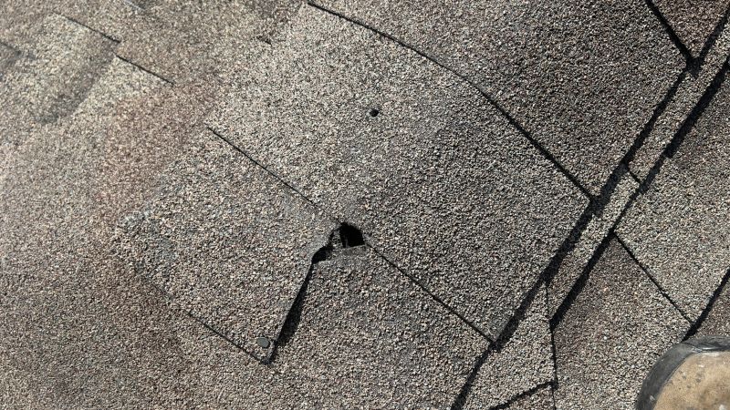 Damaged Roof Repair in Charles City County, VA