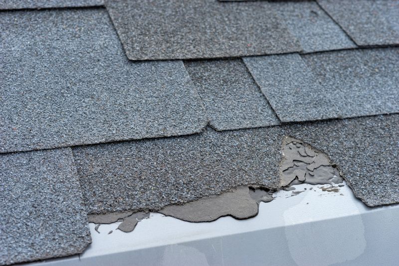 Damaged Roof Repair in Chester, VA