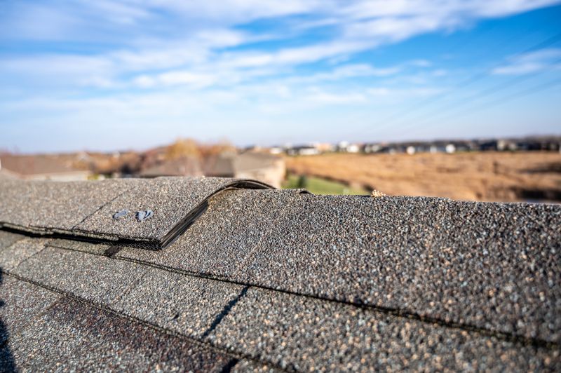 Damaged Roof Repair in Disputanta, VA