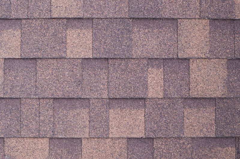Fiberglass Shingles Repair in Prince George County, VA