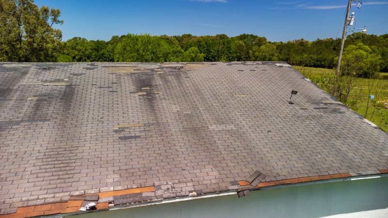 Hail Damage Roof Repair in Petersburg, VA