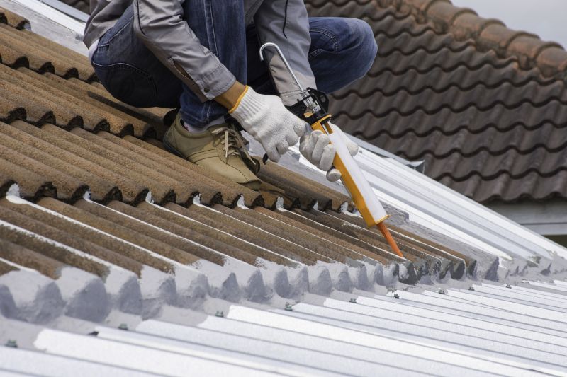 Metal Roof Coating Service in Prince George County, VA
