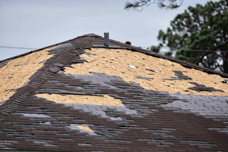 Roof Damage Inspection in Quinton, VA