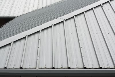 Roof Panel Repair in Prince George County, VA