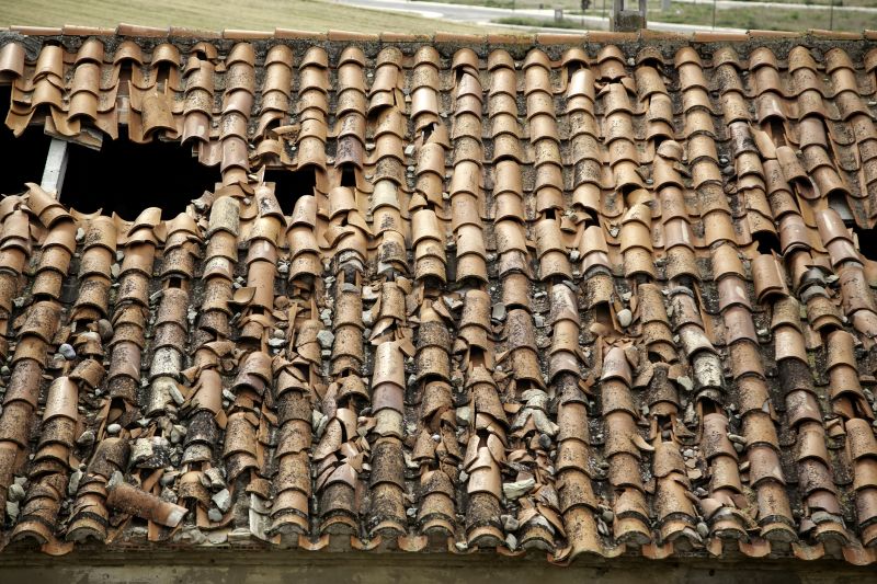 Roofing Evaluation in Disputanta, VA