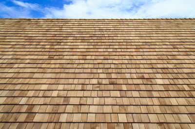 Shake Roof Replacement in Stony Creek, VA