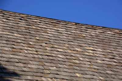 Shake Shingle Repair in Dinwiddie, VA