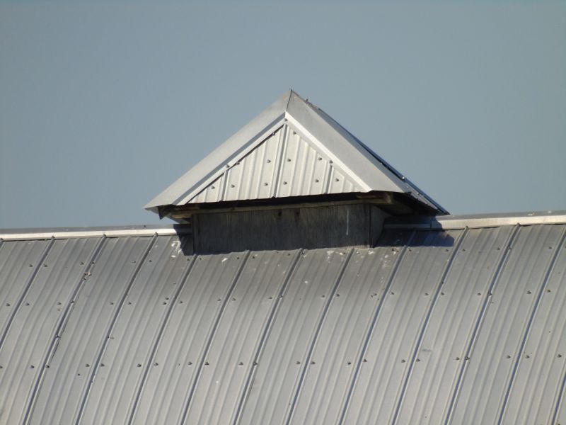 Tin Roof Installation in Prince George County, VA
