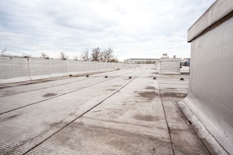 Tpo Roof Repair in Charles City, VA