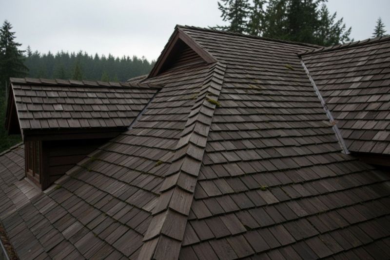 Wood Shake Roof Replacement in Disputanta, VA
